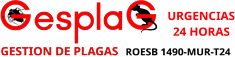 Control de plagas en Murcia Gesplag