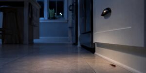 Ver pequeñas cucarachas al encender la luz de la cocina por la noche es una situación más habitual de lo que parece.